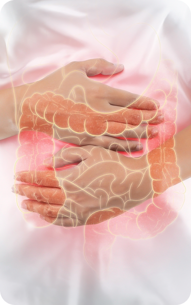 Bibiotic helps immuno care