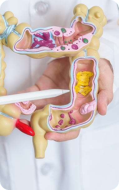 Bibiotic helps immuno care