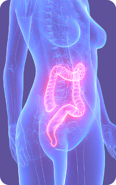 Bibiotic helps immuno care