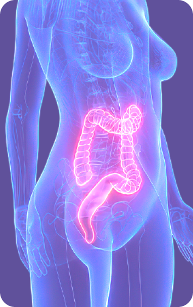 Bibiotic helps immuno care